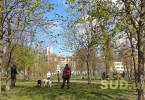 Карантинные будни Киева 22 апреля: парк без посетителей, но с утками, воронами и собаками