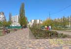 Карантин в столице 23 апреля: чем заняты киевляне