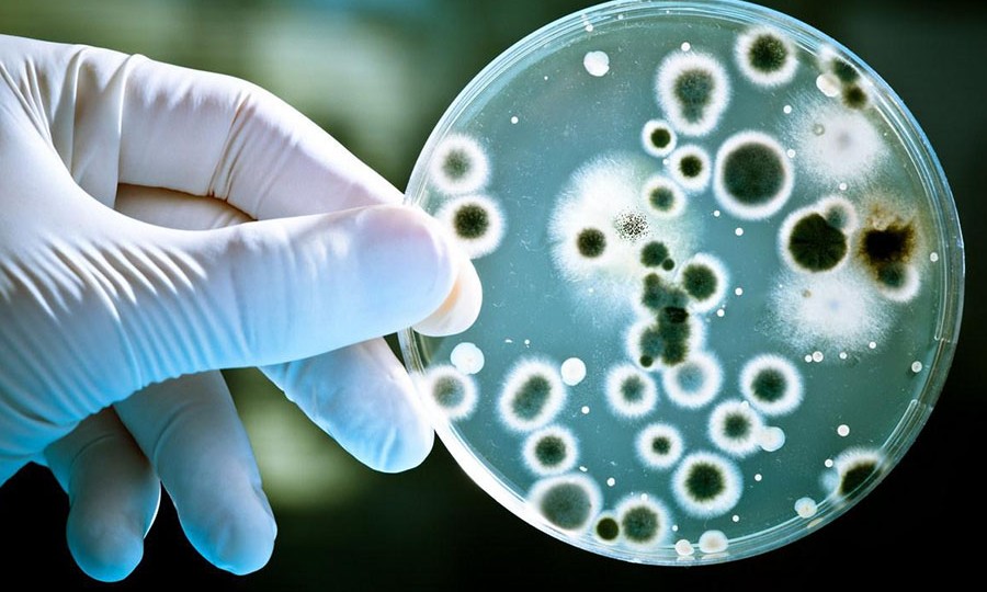 Вирус Коксаки: что нужно знать, чтобы не подцепить смертельную инфекцию