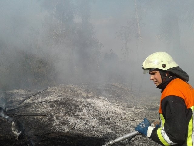 Киевлян предупреждают о массовых возгораниях мусора