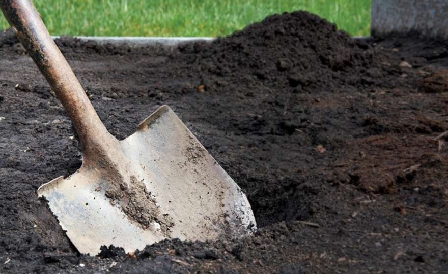 Мужчина из Бердичева закопал сожительницу в лесополосе