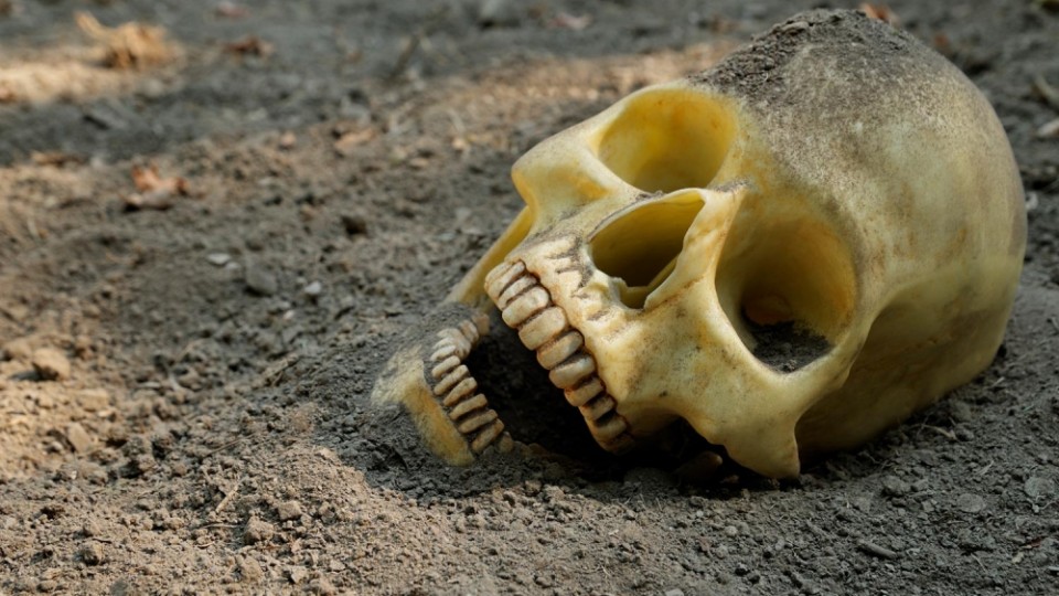 В Волынской области обнаружили человеческие останки