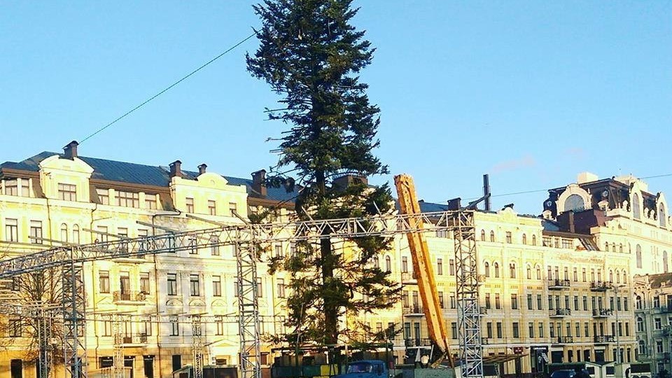 Украинцы возмущены главной елкой страны