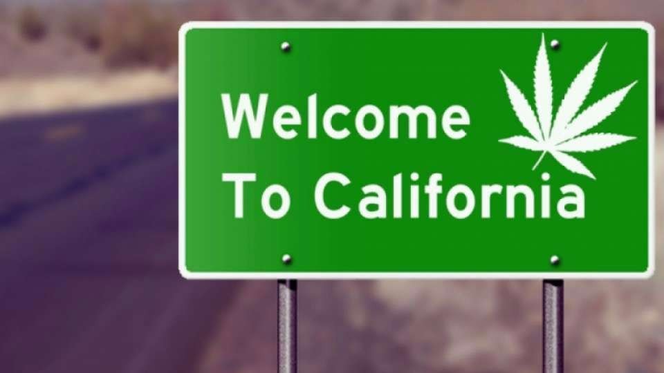В Калифорнии легализовали наркотики