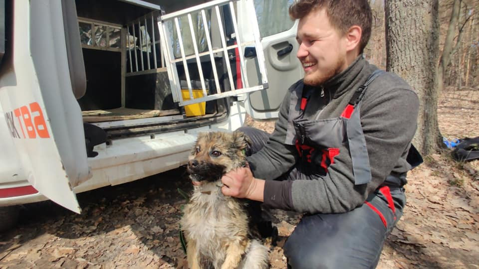 Неделю плавала на льдине: в Харьковской области спасли собаку, фото
