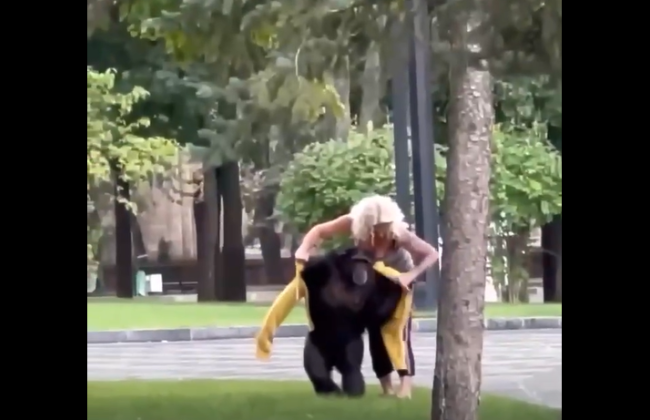 В Харькове шимпанзе, который сбежал на «прогулку», вернули домой, видео