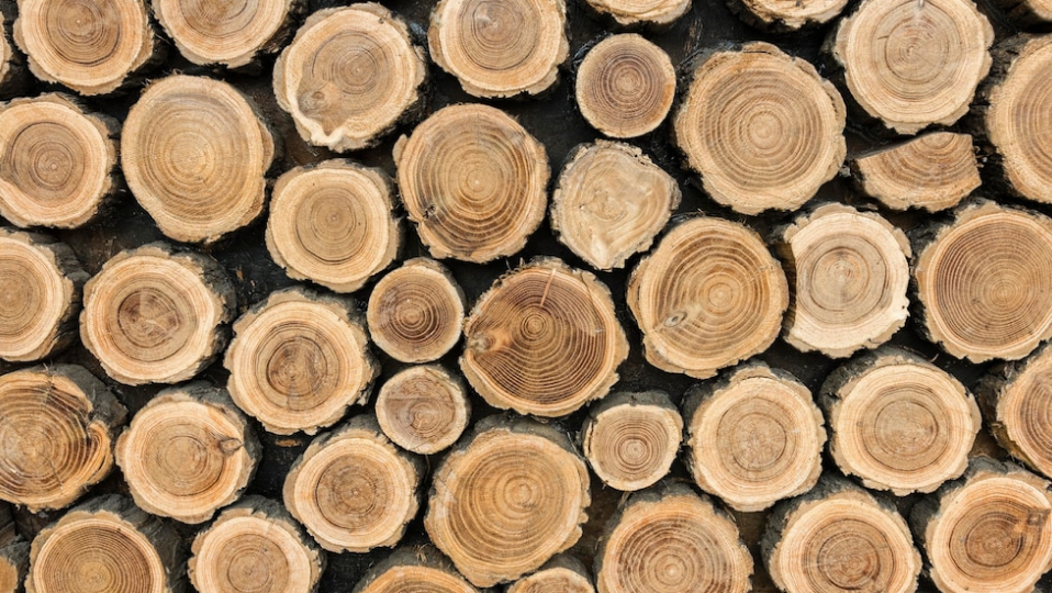 Шмигаль: Уряд виділяє 563 млн грн для придбання дров та їх безкоштовної роздачі населенню у прифронтових територіях