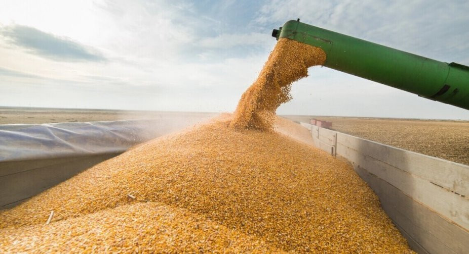 Россия возобновляет участие в «зерновой сделке»