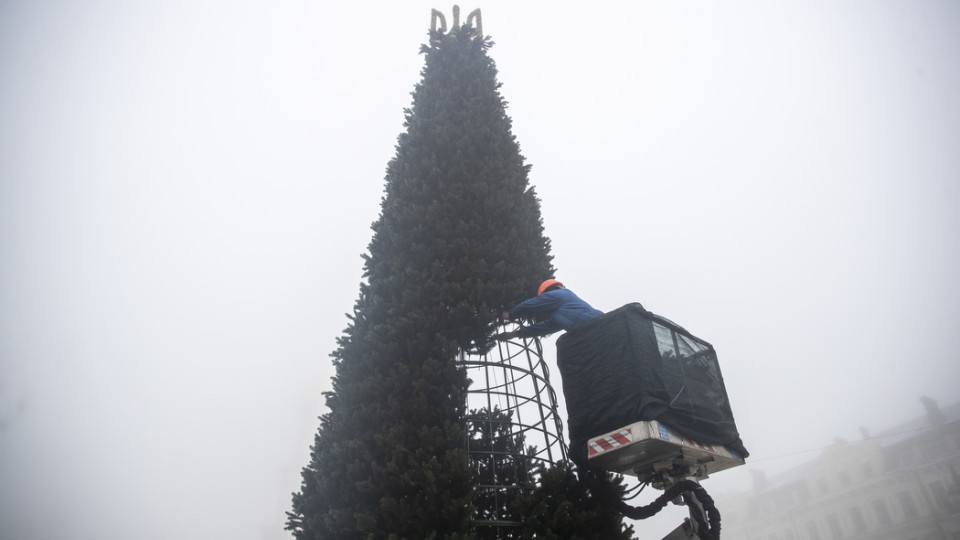 В Киеве уже установили и начинают украшать Главную елку страны: фото
