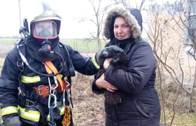 Упал в 35-метровый колодец: в Ровенской области спасли кота, фото