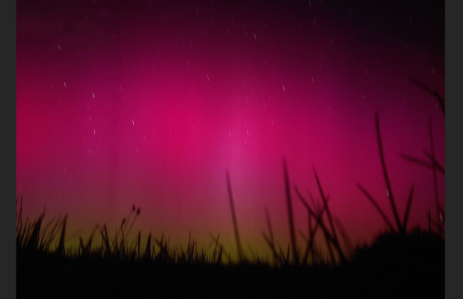 Украинцы наблюдали редкое для нашей широты Северное сияние: небо стало ярко-розовым, фото