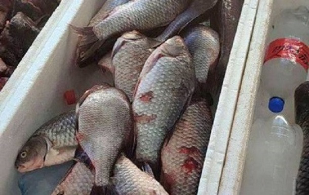 На одесских рынках массово проверяют рыбу, фото