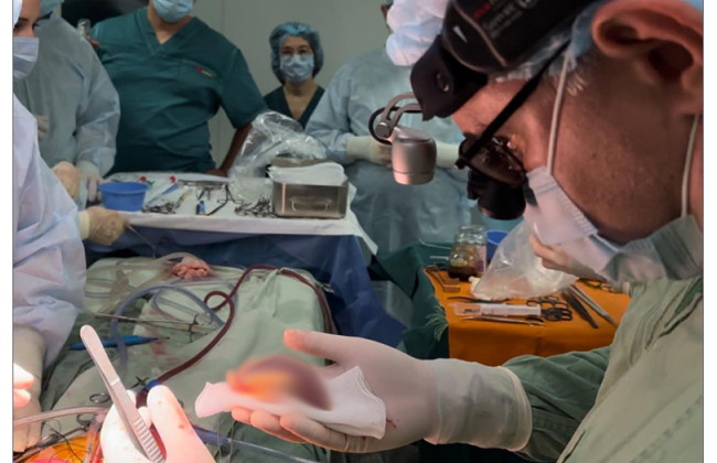 В Украине впервые трансплантировали сердце 6-летнему ребенку, фото