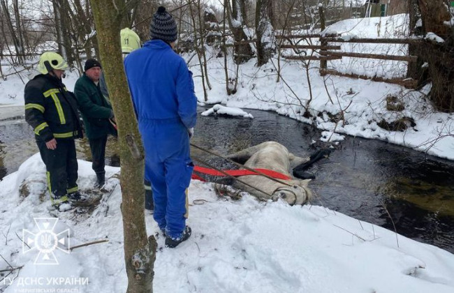Застрял в реке: на Черниговщине сотрудники ГЧЧС спасли коня, фото