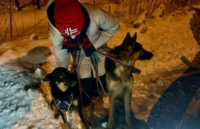 В Киеве полиция нашла потерянных собак и разыскала владелицу, фото