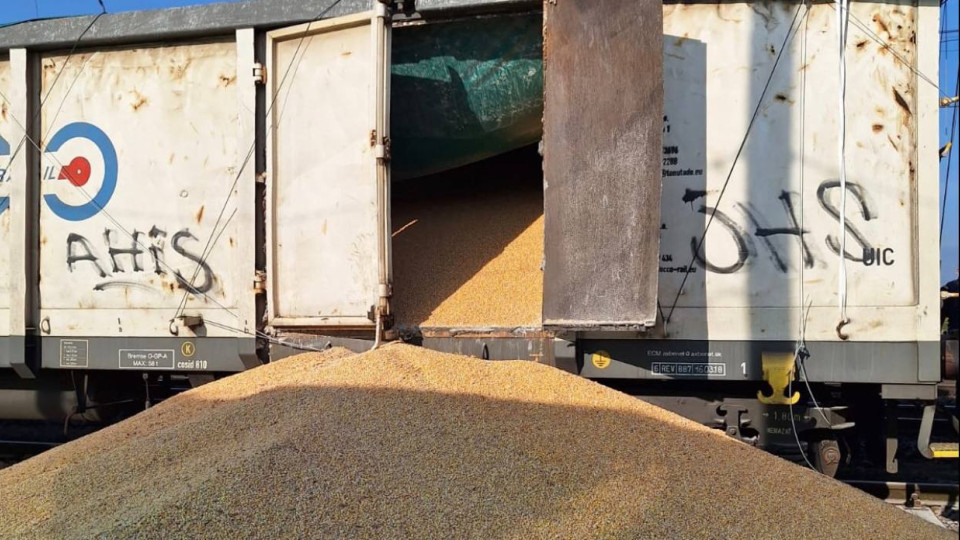 У Польщі невідомі висипали українське зерно з 8 вагонів: фото