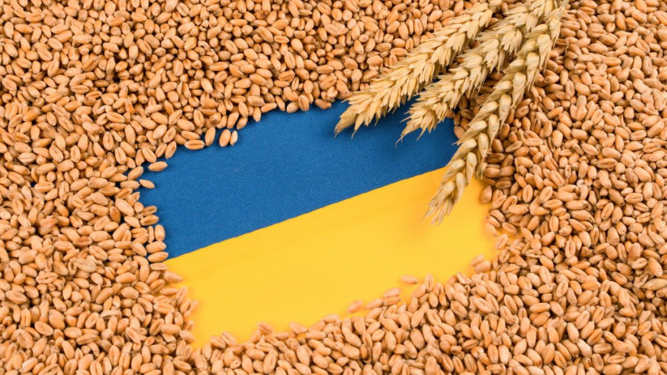 Франция поддерживает Польшу в ограничениях на импорт агропродукции из Украины