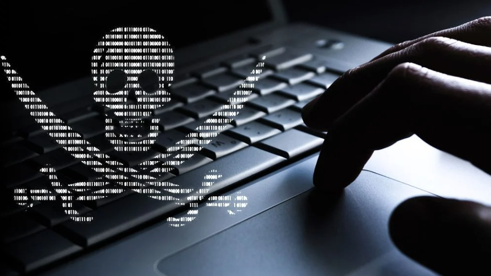 Ученые обнаружили, что предупреждения о борьбе с интернет-пиратством провоцируют еще больше случаев пиратства