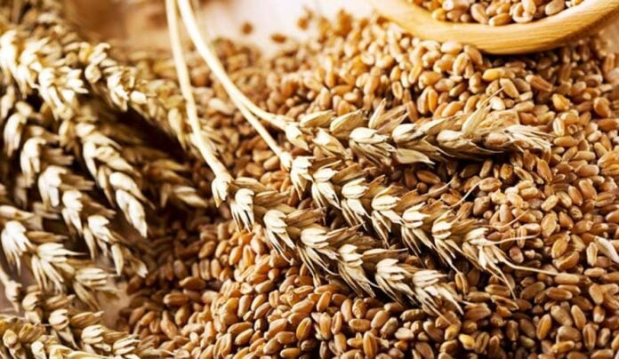 Экспортер отправил в Чехию более 2 тысяч тонн зерна на более 20 млн гривен с нарушением таможенных правил