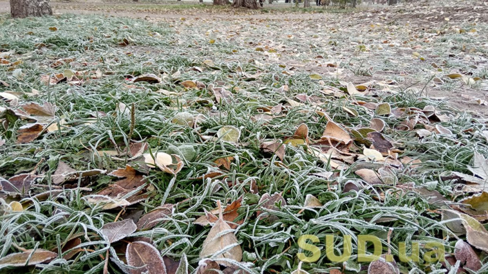 Украину скуют заморозки: какой будет погода на выходных