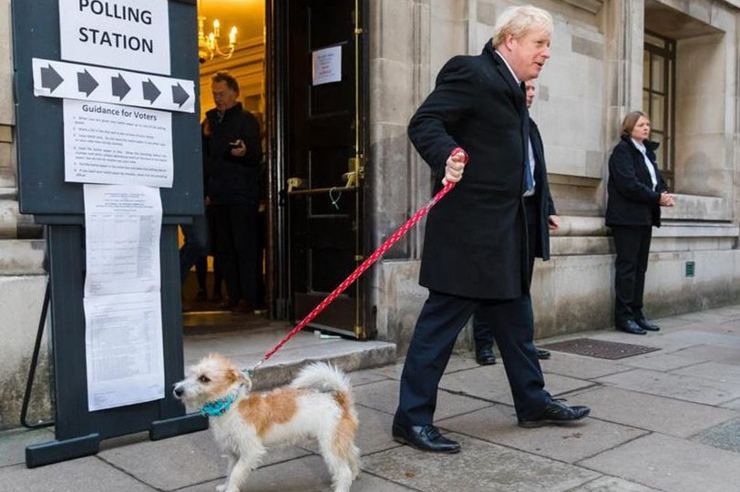 Собаку Бориса Джонсона зробили крайнім в нашесті бліх на Даунінг-стріт