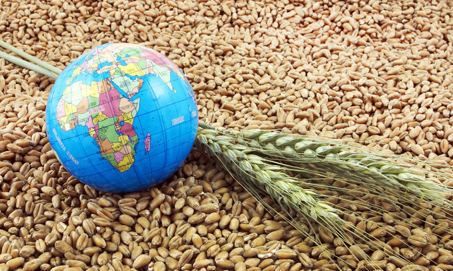 Харьковский бизнесмен пытался незаконно экспортировать за границу пшеницу на 9,2 млн гривен