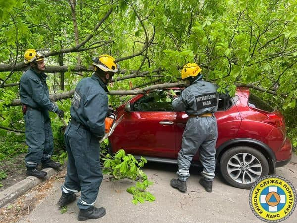 В Киеве непогода на выходных повредила или свалила 107 деревьев