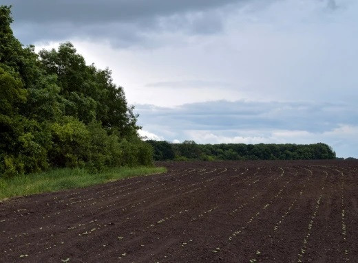На Сумщине общине вернули 162,8 га земли, которая незаконно использовалась одним из сельхозпредприятий