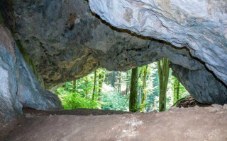 На Закарпатье памятник археологии «Стоянка пещерная» взяли под особую охрану