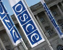 ОБСЕ предоставит отчет о выборах в Украине через два месяца