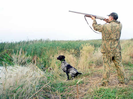 Предлагается изменить закон об охотничьем хозяйстве относительно сроков охоты