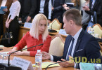 Інтеграція з ЄС, співпраця з НАТО та Радою Європи: комітети ВР провели спільне засідання