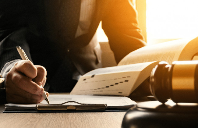 Адвокат Жан-Мишеля Андре отправится в Будапешт для встречи с представителями Ирины Беленькой