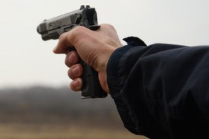 Проект закона о владении оружием в Украине будет разработан до осени