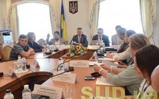 Исполнение решений Европейского суда: слушания в комитете.  ФОТОРЕПОРТАЖ