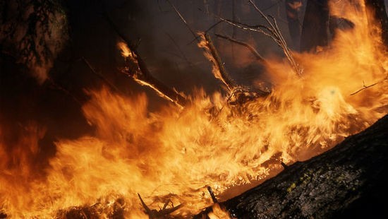 На выходных в Украине ожидается чрезвычайная пожарная опасность