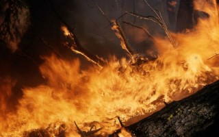 На выходных в Украине ожидается чрезвычайная пожарная опасность