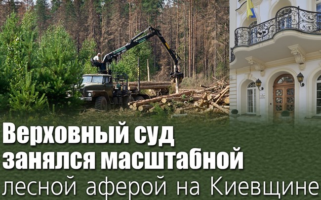 Верховный Cуд занялся масштабной лесной аферой на Киевщине