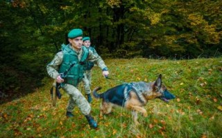 За полгода пограничники задержали более тысячи мигрантов
