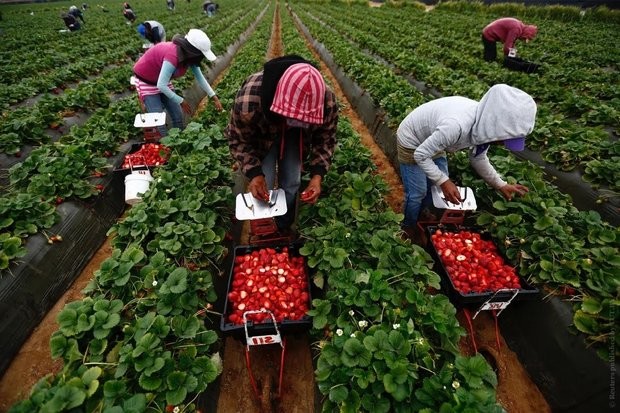 37 украинцев бесследно исчезли в Финляндии