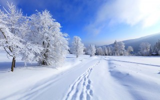 Швейцарию засыпало 2-метровым слоем снега (фото)