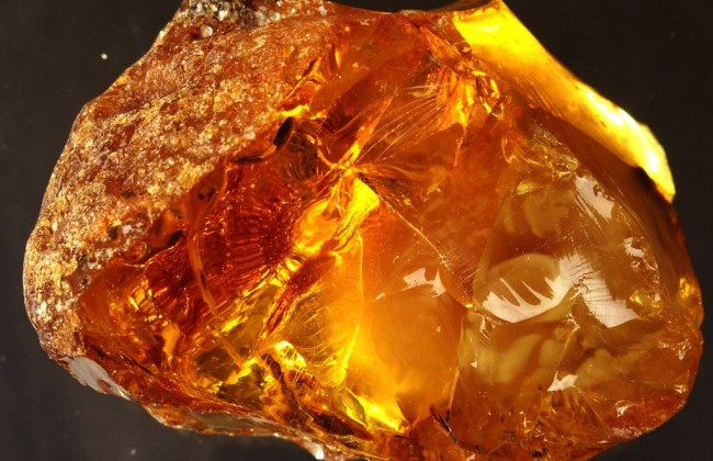 Житель Волыни пытался перевезти в Польшу 2 кг янтаря