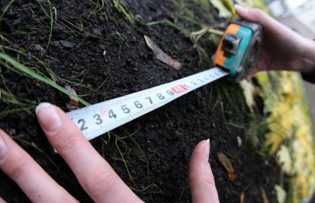 Объединенным теробщинам обещают больше полномочий