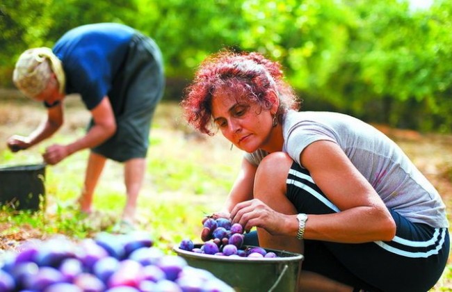 Пенсия гастарбайтеров: какие нюансы нужно знать каждому