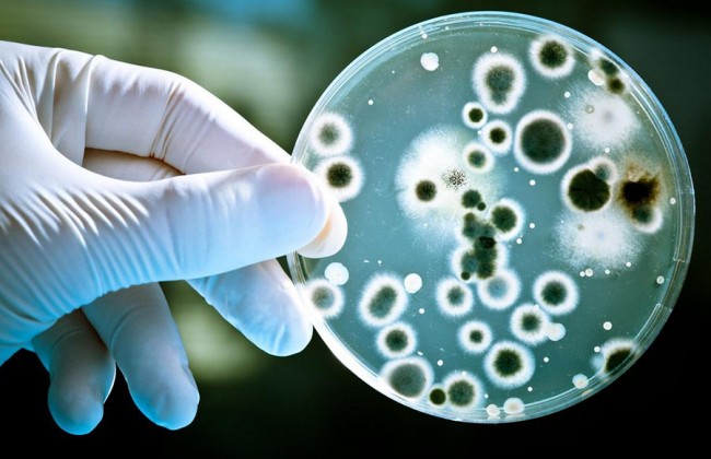 Вирус Коксаки: что нужно знать, чтобы не подцепить смертельную инфекцию