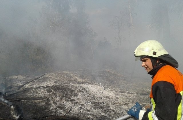 Киевлян предупреждают о массовых возгораниях мусора