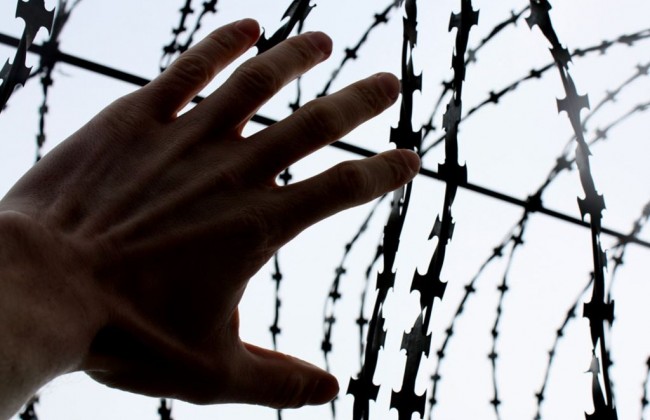 Опубліковано закон про амністію: кого звільнили від кримінальної відповідальності