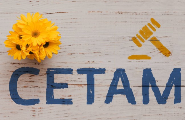 Чешский банк первым продаст имущество через «СЕТАМ»