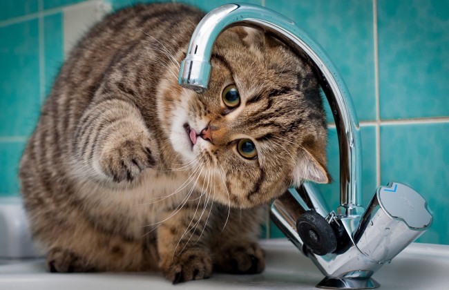 Тарифы на воду: сколько придется платить киевлянам в 2018 году