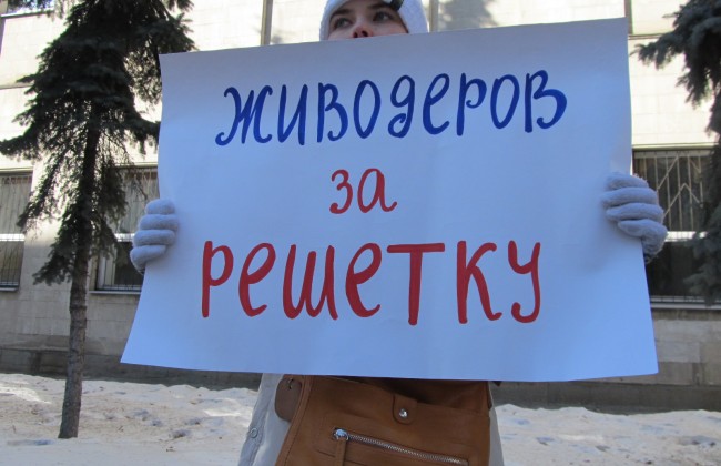 Киевлян шокировал маньяк, который убивает кошек